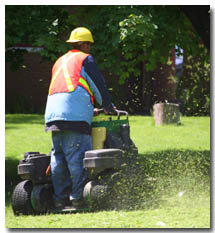 Stu's Professional Lawn Care is Reliable, Professional and Affordable Stu's Professional Lawn Care is Reliable, Professional and Affordable