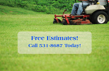 Mowing Services Pricing & Free Estimates from Stu's Professional Lawn Care